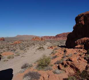 Im Valley of Fire unterwegs