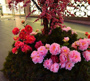 Shoppingcenter Pavilion