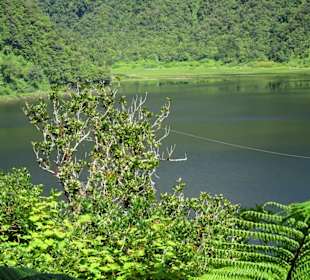 Impressionen vom Grand Étang