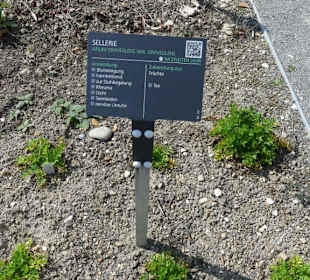 Kräuter Hinweistafel