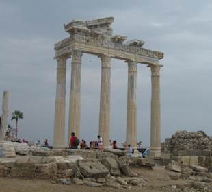 Sollte man gesehen haben! 