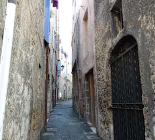 "Старый" Грасс