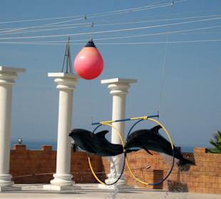 Delphinarium 