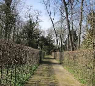 Schlossgarten Schwetzingen