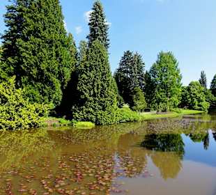 Der Wasserlauf um die Blumeninsel