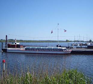 In der Treene der Anleger