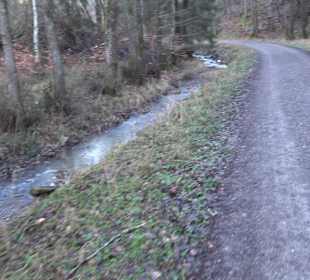 Wanderung rund um den Ochsenweiher