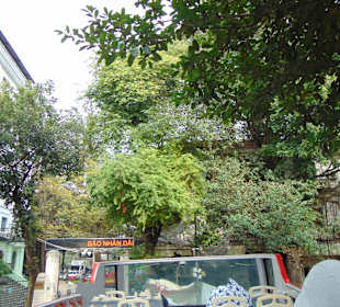 Hanoi City Tour (Sightseeing Bus)