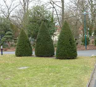 Bürgergarten