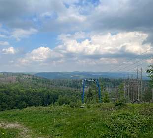 Nationalpark Harz