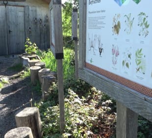 Allgäuer Honig Haus