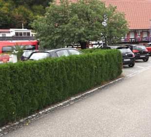 Museum für Mineralien und Mathematik