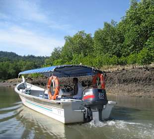 Auf der Mangroventour