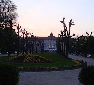 Schöner Garten