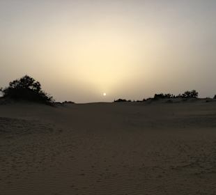 Dünen von Maspalomas