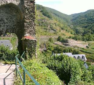 Burgruine Metternich