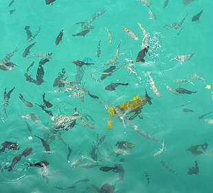 Schnorcheln Hurghada