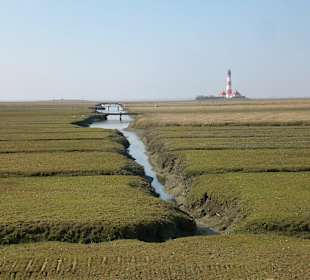 Blick über d. Salzwiesen zum Westerhever Leuchttum