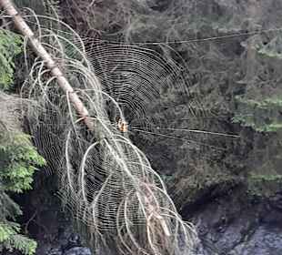 Wandern Ridnaun Ratschings