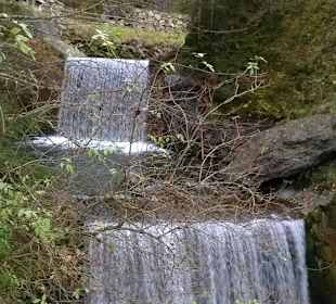 Wilde Wasser Weg