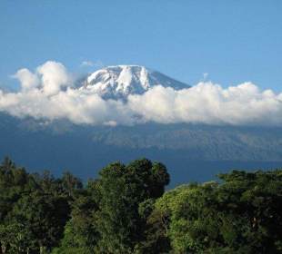 Kilimanjaro