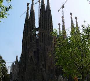 Sagrada