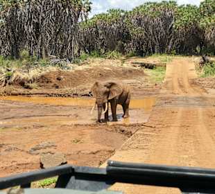 Tsavo West 2