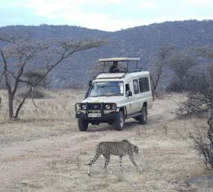 Samburu Game Drive