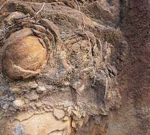 Auf der Levada nach Camacha