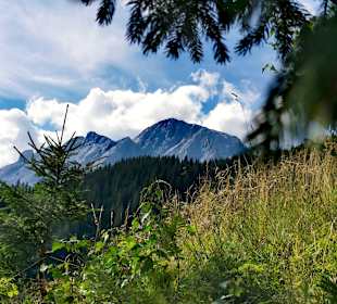 Wandern Mühlbach