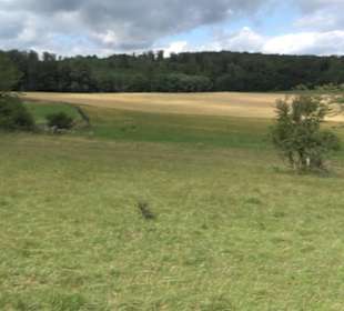 Hochgeträumt Premiumwanderung