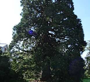 Sichtungsgarten Hermannshof