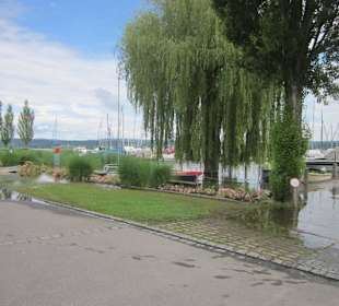 Insel Reichenau Hochwasser
