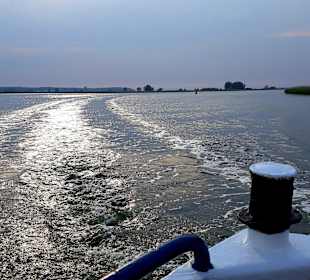 Apollo Tagestour zur Greifswalder Oie 