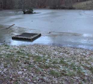 Wanderung rund um den Ochsenweiher