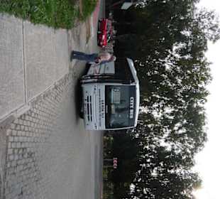 Der Dolmusch