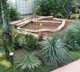 Raffeiner Orchideenwelt