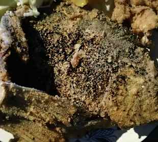 Bestes in Franken der Pfefferkarpfen m.Ingreisch