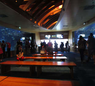 Aquarium / Oceanongrafic