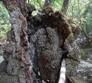 Peta Loudhes / Tal der Schmetterlinge