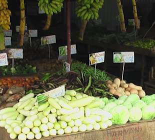 Eine kleine Obst Zwischenmahlzeit