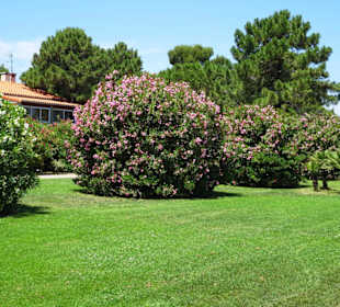 Spaziergang über die Strandpromenade Argelès-Plage
