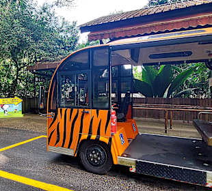 Zoo Bimmelbahn