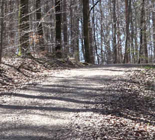 Waldkulturerbe Neuweiler Viehweide