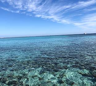 Schnorcheln Soma Bay