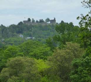 Blick vom Altenberg zur Ruine Burg Botenlauben