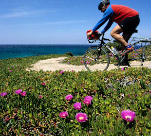 Inselrundfahrt Sardinien