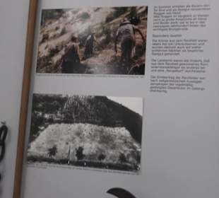 Heimatmuseum im Herrenhaus