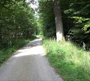 Sonnenaufgangs-Rundwanderung Rübgarten
