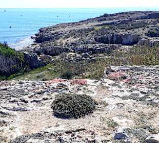 Der Weg ist das Ziel